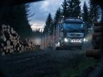 Volvo FH16 600 6x4 Timber Truck 2008 года